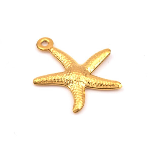 Buy Starfish charm pendant in golden stainless steel 18x15mm (1)