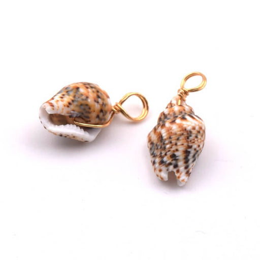 Buy natural sea shell 15-20mm pendant - Hole: 4mm (2)