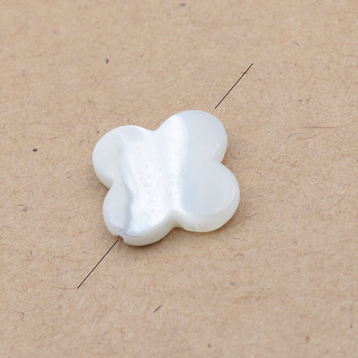 Buy Natural white shell bead clover 14mm - hole: 0.8mm (2)